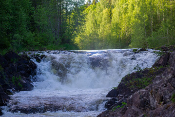 Fototapete bei efototapeten.de bestellen   