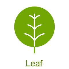 Simple green glyph leaf icon.