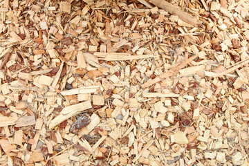 A top down view of a ground full of wood chips, as a background.