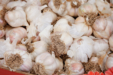 A view of garlic bulbs on display at a local farmers market.