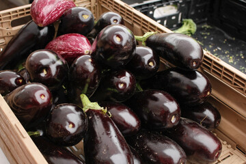A view of a display of eggplants, seen at a local farmers market.