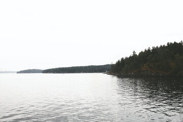 A view looking at the shoreline of a Pacific Northwest island in the San Juan Islands area.