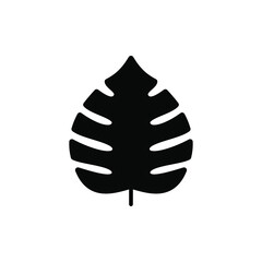 Black monstera leaf glyph icon.