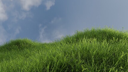 Obraz na płótnie Canvas Green grass against the blue sky nature scene 3D rendering landscape wallpaper backgrounds