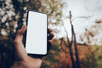 phone in hand search for communication in the forest