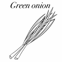 vegetables,foods,plants,food,vegan food,red,yellow,green,orange,healthy food products,healthy food,healthy nutrition,vitamins,health,cooking,salads,carrots,cabbage,radishes,tomatoes,green leeks,garlic