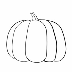 vegetables,foods,plants,food,vegan food,red,yellow,green,orange,healthy food products,healthy food,healthy nutrition,vitamins,health,cooking,salads,carrots,cabbage,radishes,tomatoes,green leeks,garlic