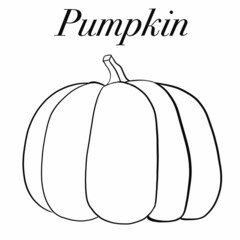 vegetables,foods,plants,food,vegan food,red,yellow,green,orange,healthy food products,healthy food,healthy nutrition,vitamins,health,cooking,salads,carrots,cabbage,radishes,tomatoes,green leeks,garlic