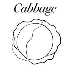 vegetables,foods,plants,food,vegan food,red,yellow,green,orange,healthy food products,healthy food,healthy nutrition,vitamins,health,cooking,salads,carrots,cabbage,radishes,tomatoes,green leeks,garlic