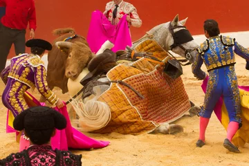 Fototapeten Picador caído en corrida de toros © M6