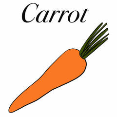 vegetables,foods,plants,food,vegan food,red,yellow,green,orange,healthy food products,healthy food,healthy nutrition,vitamins,health,cooking,salads,carrots,cabbage,radishes,tomatoes,green leeks,garlic