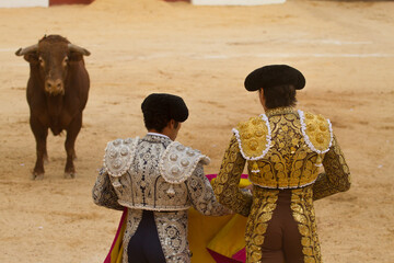 Naklejka premium Toreros