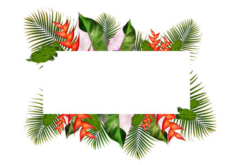 Creative Photo Rainforest frame ,Tropical frame 