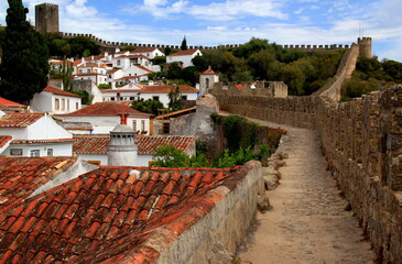 White houses with red roofs and exotic trees surrounded by the walls of Castelo de Óbidos in...
