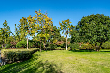 park sunshine grass green woods