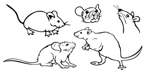 Vector illustration with collection of mice. Black and white mice and rats.