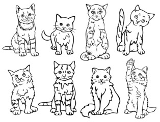 Vector illustration with collection of kittens. Black and white cats. Design for coloring book.