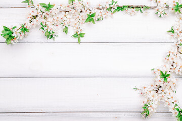 Spring border, April floral and spring blossom nature on wooden background. Branches of blossoming....