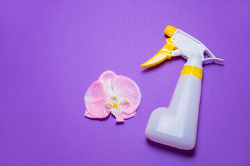 Spray gun and orchid flowers on a wooden background: a place for text, top view. The concept of...