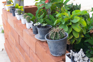 close up of decorrate plant pot at Thailand