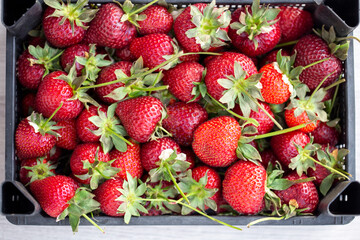 red ripe strawberries close-up