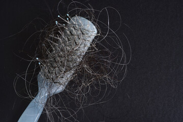 tangled gray hair and black falling out hair on blue brush comb with black background