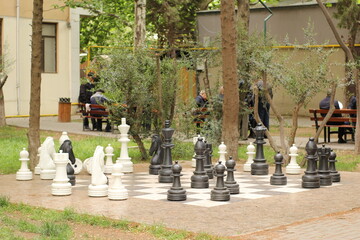 outdoor big chess in the garden