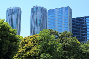 新緑の樹林帯と高層ビル群