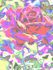 Fototapeta premium abstract background with a rose