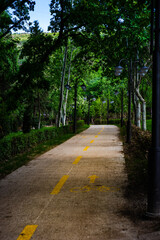Obraz premium Bike path in the park