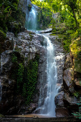Fototapeta premium waterfall in the forest