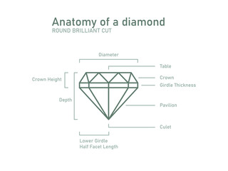 Anatomy of a diamond scheme. Brillianat shapes  and naming. Vector 