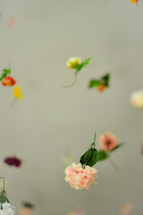 Obraz na płótnie Canvas Beautiful flowers. Summer bloom concept. Creative spring nature. 
