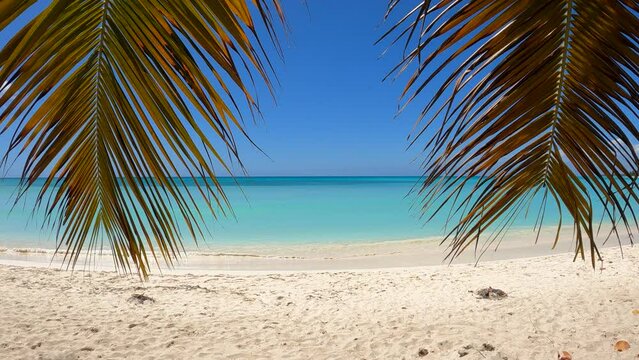 Extremely wild and quiet beach in Saona Island, Dominican Republic, El Torro Beach Video .4K