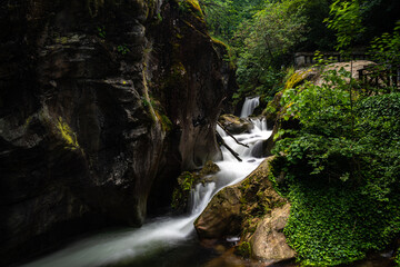 waterfall in the forest