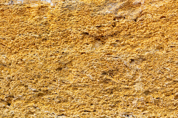 Polished limestone slab with different shell marks. Shell rock texture.