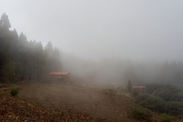Fototapeta na wymiar House in the middle of the forest on a foggy day in Gran Canaria, Canary Islands