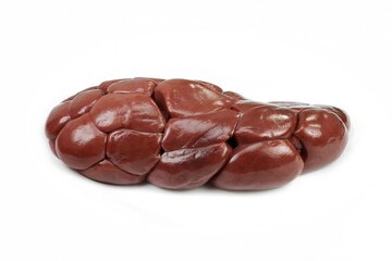 raw beef kidney. Beef kidney isolated on white background