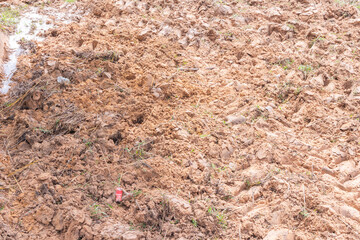 mud and puddle red soil in rice field