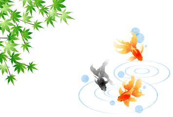 青もみじと金魚とポップ波紋の暑中見舞いはがきヨコ