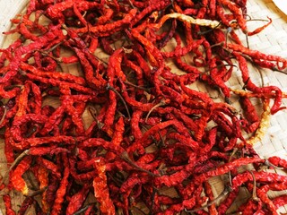 dried red chili background to dry