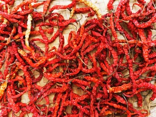 dried red chili background to dry