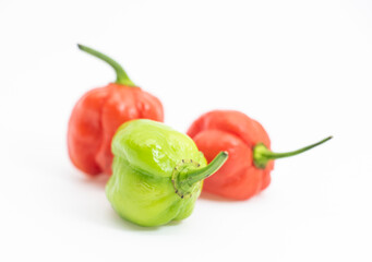 Spicy chili peppers or naga chili with chili powder isolate on white background