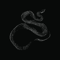 racer snake hand drawing vector illustration isolated on black background