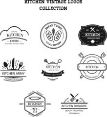Retro Vintage Insignias or Logotypes set. Vector design elements, business signs, logos, identity, labels, badges and objects.