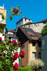Fototapeta na wymiar Red Roses and Blurred view at the historic castle in Feldkirch, Austria