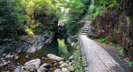 Daqi Mountain National Forest Park, Tonglu County, Zhejiang province, China