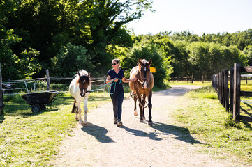 Truly happy smiling farmer woman leading two horses toward camera on beautiful sunny spring day....