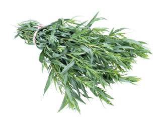 Pile of fresh green tarragon - Artemisia Dracunculus on an isolated white background