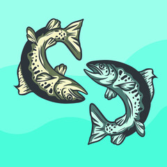 Hand Drawn Fish Salmon Illustration